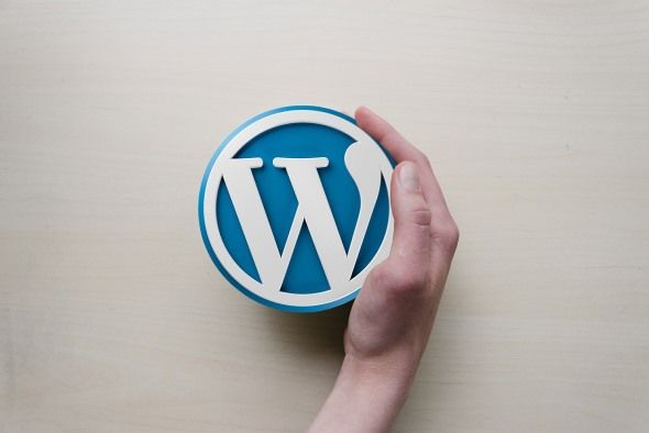 Webinar WordPress-Plugins 